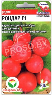 Редис Рондар F1