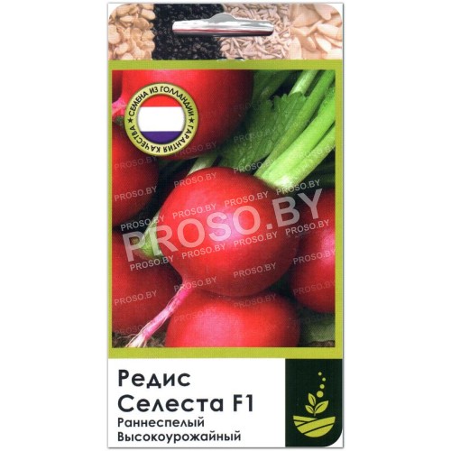 Редис Селеста F1