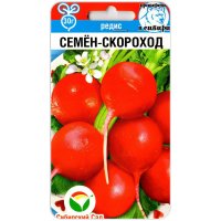 Редис Семён-скороход