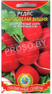 Редис Скороспелая вишня