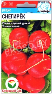 Редис Снегирек