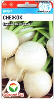 Редис Снежок