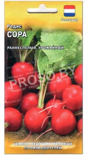 Редис Сора