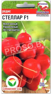 Редис Стеллар F1