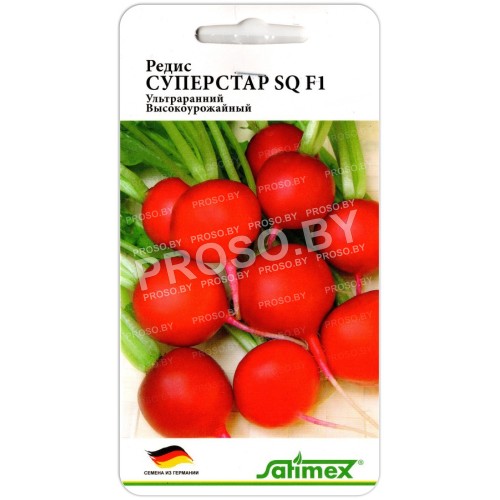 Редис Суперстар SQ F1