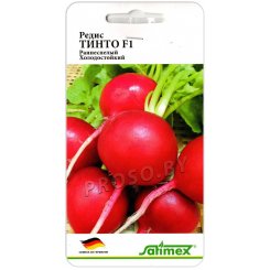 Редис Тинто F1