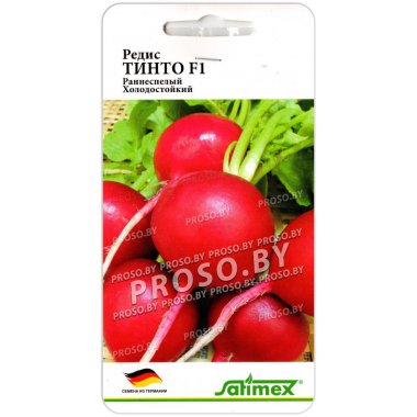 Редис Тинто F1