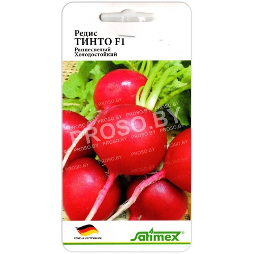 Редис Тинто F1