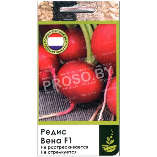 Редис Вена F1