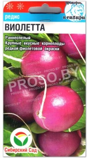 Редис Виолетта