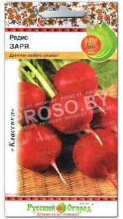Редис Заря