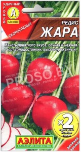 Редис Жара