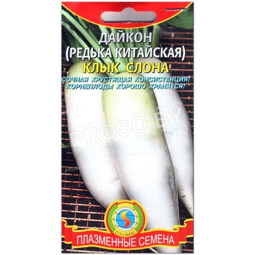 Редька китайская Клык слона-1