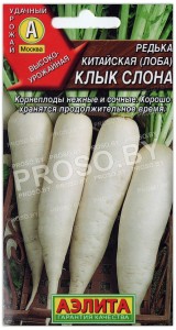 Редька китайская Клык слона