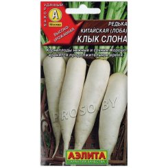 Редька китайская Клык слона