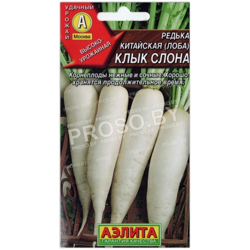Редька китайская Клык слона