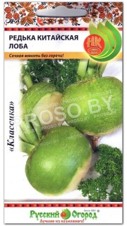 Редька китайская Лоба