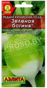 Редька китайская Зеленая богиня