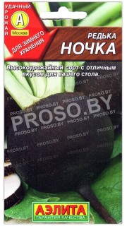 Редька Ночка