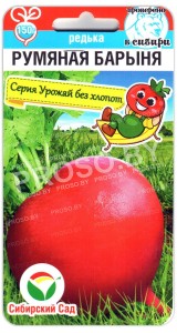 Редька Румяная барыня