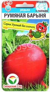 Редька Румяная барыня