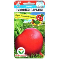 Редька Румяная барыня