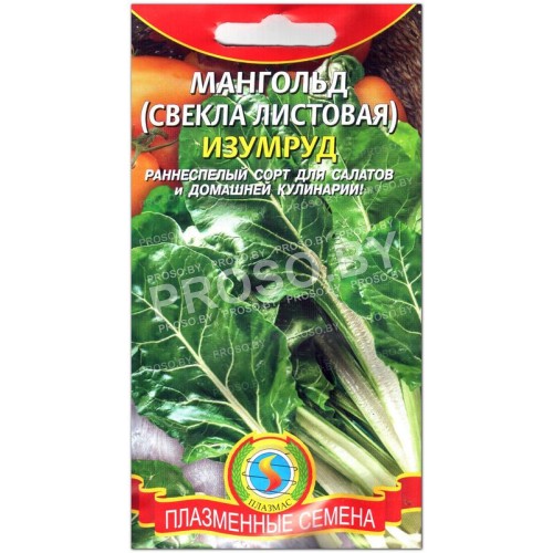Мангольд Изумруд-1