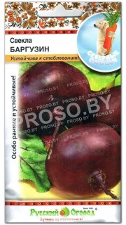 Свекла Баргузин
