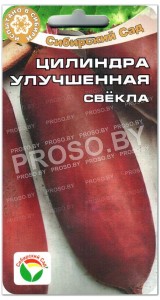 Свекла Цилиндра улучшенная