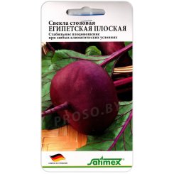 Свекла Египетская плоская