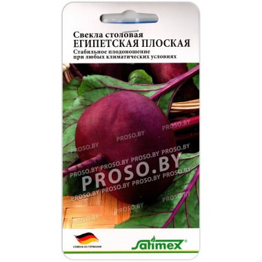 Свекла Египетская плоская