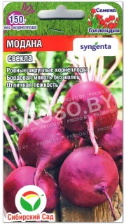Свекла Модана