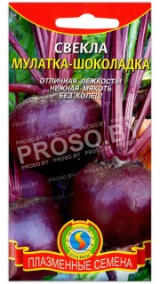 Свекла Мулатка-шоколадка