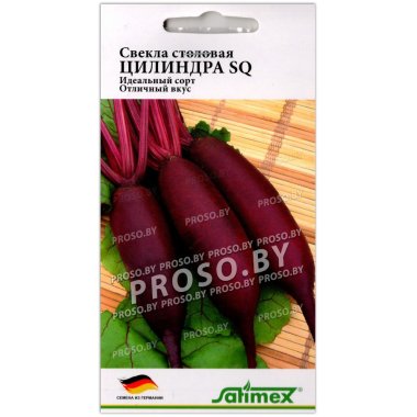 Свекла столовая Цилиндра SQ