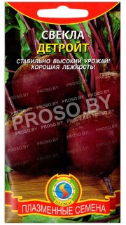 Свекла столовая Детройт