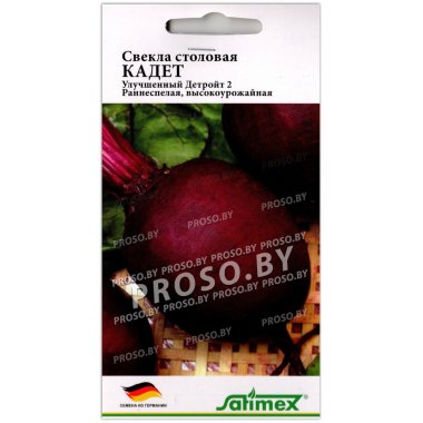 Свекла столовая Кадет