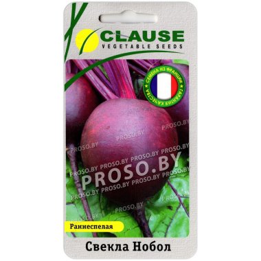 Свекла столовая Нобол