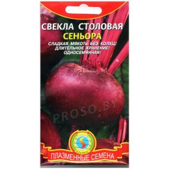 Свекла столовая Сеньора