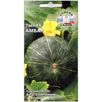 Тыква Амбар