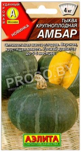 Тыква Амбар