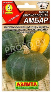 Тыква Амбар