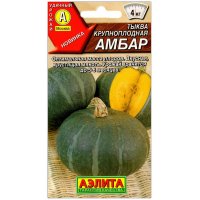 Тыква Амбар