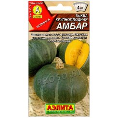 Тыква Амбар