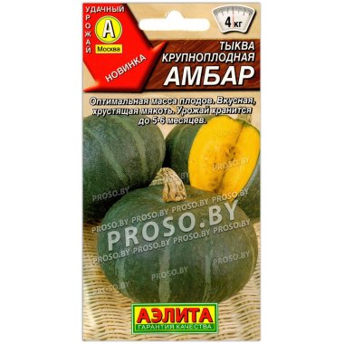 Тыква Амбар