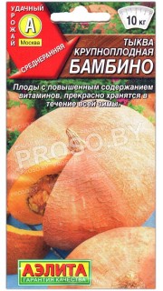 Тыква Бамбино