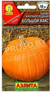 Тыква Большой Макс
