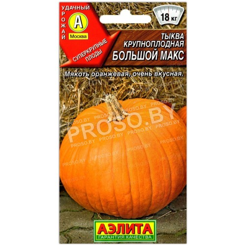 Тыква Большой Макс