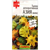 Тыква декоративная Азия, смесь