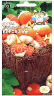 Тыква декоративная Боровичок