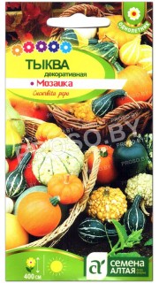 Тыква декоративная Мозаика, смесь